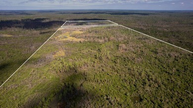 A rare opportunity awaits in the heart of Taylor County - photo 47