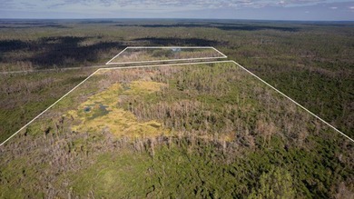 A rare opportunity awaits in the heart of Taylor County - photo 49