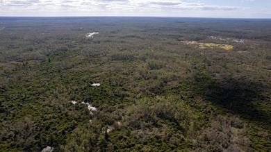 A rare opportunity awaits in the heart of Taylor County - photo 50