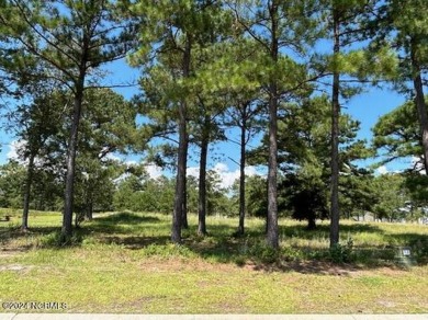 (private lake, pond, creek) Lot Sale Pending in Sunset Beach North Carolina