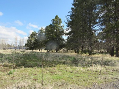 Pine Ridge Ranches gated community along the famous Williamson - photo 8