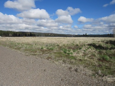 Pine Ridge Ranches gated community along the famous Williamson - photo 9