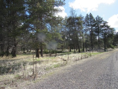 Pine Ridge Ranches gated community along the famous Williamson - photo 10