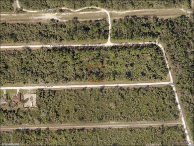Lehigh Acres Area Lot For Sale in Alva Florida
