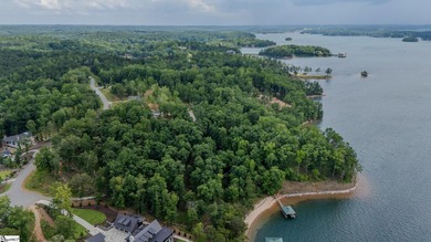 Point lots like this one surface once in a generation on Lake - photo 11