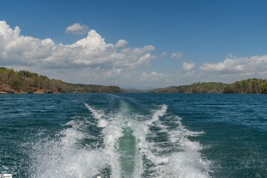 Point lots like this one surface once in a generation on Lake - photo 20