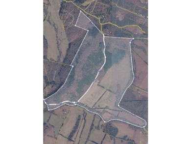 Looking for acreage? This 364.67 acre tract combines both - photo 1