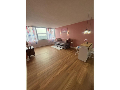 Tastefully upgraded fully furnished Elmwood Park Studio Condo on