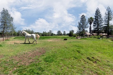 A rare Redding legacy estate - nearly 16 acres with three - photo 16