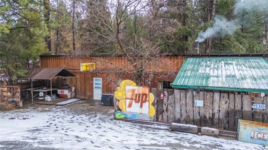 (private lake, pond, creek) Home For Sale in Lolo Montana