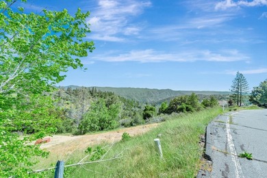 Discover the beauty of the majestic Sierra foothills in Forest - photo 37