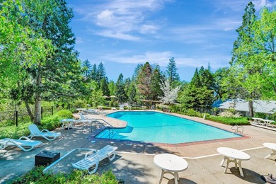 Discover the beauty of the majestic Sierra foothills in Forest - photo 45