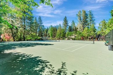 Discover the beauty of the majestic Sierra foothills in Forest - photo 48