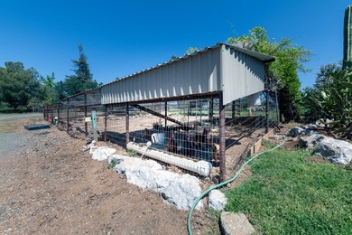 A rare Redding legacy estate - nearly 16 acres with three - photo 49