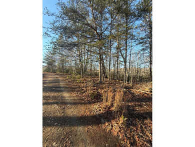 James River Acreage For Sale in Madison Heights Virginia
