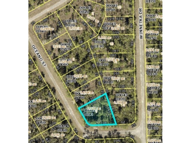 Lehigh Acres Area Lot For Sale in Lehigh Acres Florida