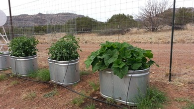 Welcome to this truly one-of-a-kind 7-acre homestead in the