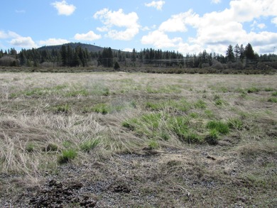 Williamson River Acreage For Sale in Chiloquin Oregon