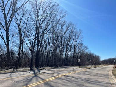 8.0 Acre potential Multi-family zoned lot located in 301 school - photo 2