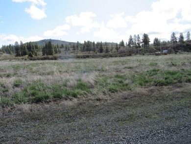 5 acres in a high-quality, gated home community close to the - photo 4