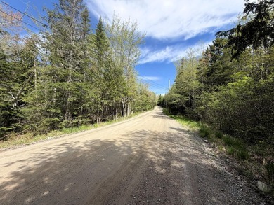 Thickly wooded with a healthy mix of hardwoods and evergreens - photo 1