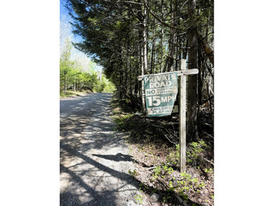 Thickly wooded with a healthy mix of hardwoods and evergreens - photo 2