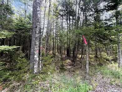 Thickly wooded with a healthy mix of hardwoods and evergreens - photo 4