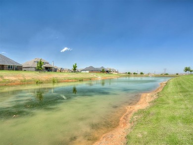 This luxury-inspired home in Highland Ranch is better than new - photo 41