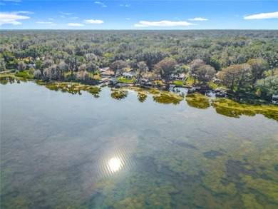 Lake Panasoffkee Home For Sale in Lake Panasoffkee Florida