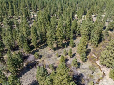 (private lake, pond, creek) Acreage For Sale in Placerville Idaho