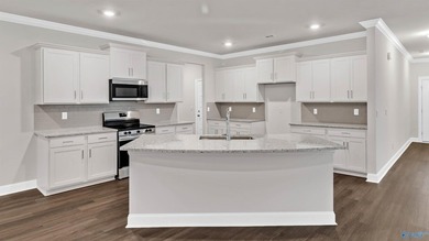 This stunning residence features 4 spacious bedrooms, 3 elegant - photo 12