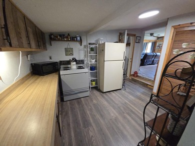 BACK ON THE MARKET!! Just 6 houses from Houghton Lake shore with - photo 13