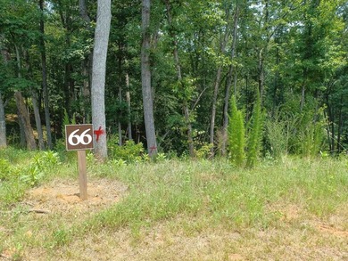 Coosawattee River Lot For Sale in Ellijay Georgia