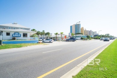 400' of prime frontage on Perdido Beach Blvd. The property - photo 1