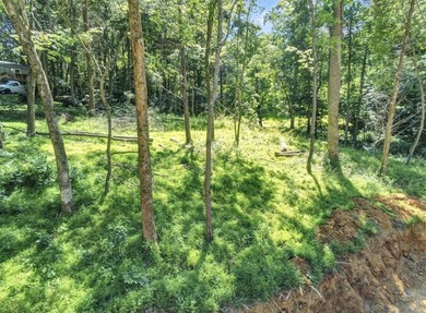 Dreaming of building your own lake getaway on Barren River Lake? - photo 2