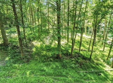 Dreaming of building your own lake getaway on Barren River Lake? - photo 3