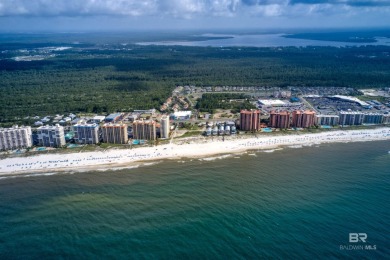 400' of prime frontage on Perdido Beach Blvd. The property - photo 4