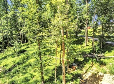 Dreaming of building your own lake getaway on Barren River Lake? - photo 4