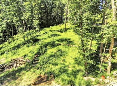 Dreaming of building your own lake getaway on Barren River Lake? - photo 5