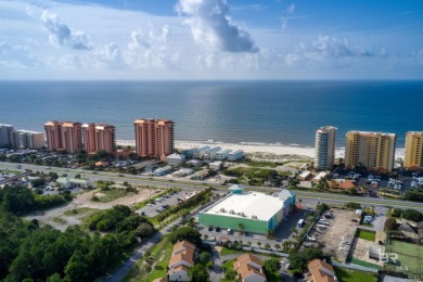 400' of prime frontage on Perdido Beach Blvd. The property - photo 6