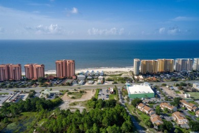 400' of prime frontage on Perdido Beach Blvd. The property - photo 7