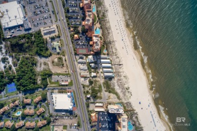 400' of prime frontage on Perdido Beach Blvd. The property - photo 9