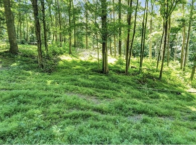 Barren River Lake Lot For Sale in Scottsville Kentucky