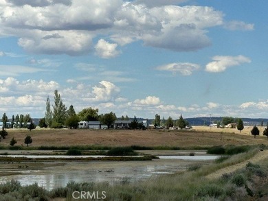 Lake View Dr - photo 9