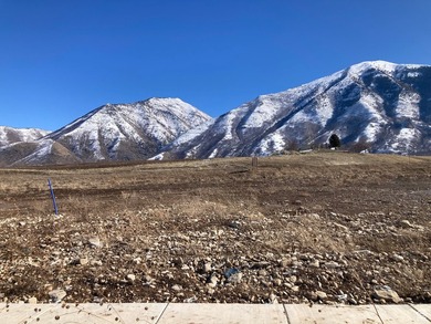 One of the last lots left in plat D of Ridge View Estates. This - photo 4