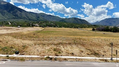 One of the last lots left in plat D of Ridge View Estates. This - photo 8