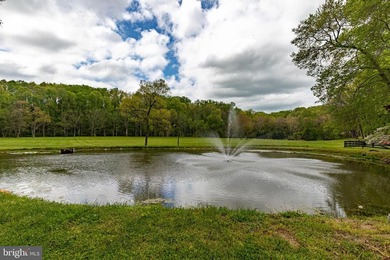 Paradise Awaits!!! 23 Acres of nature, tranquility and peace in - photo 12