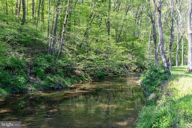 Paradise Awaits!!! 23 Acres of nature, tranquility and peace in - photo 15