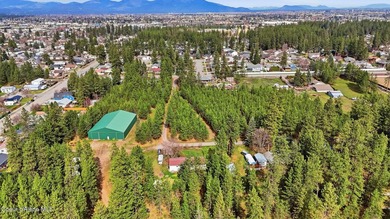 Exceptional Spokane River development opportunity--10.85 acres - photo 4