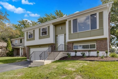 Lake Home For Sale in Naperville, Illinois